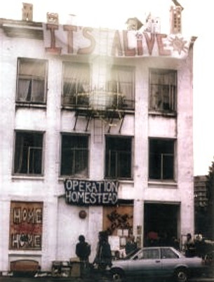 operation-homestead-1_edited.jpg